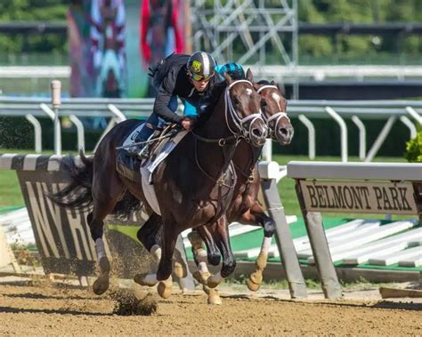 list of horses for the belmont stakes|2021 Belmont Stakes Horses: Preakness Winner Rombauer Not.